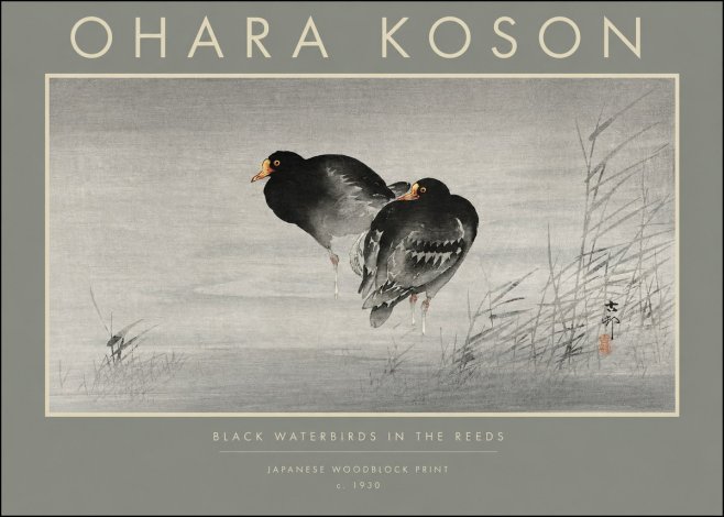 Ohara Koson Black Waterbirds in the Reeds No2 - Plakat