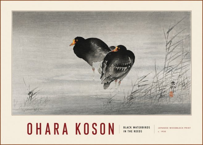 Ohara Koson Black Waterbirds in the Reeds No3 - Plakat