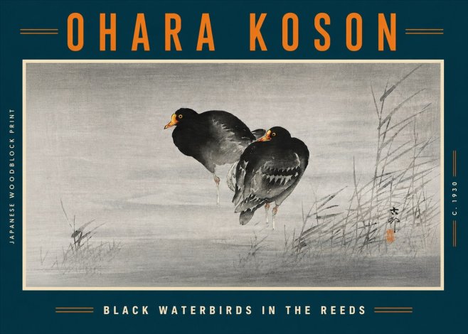 Ohara Koson Black Waterbirds in the Reeds No5 - Plakat