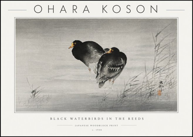 Ohara Koson Black Waterbirds in the Reeds No6 - Plakat