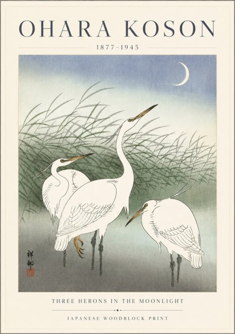 Ohara Koson Three Herons in the Moonlight No3 - Plakat