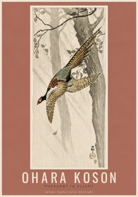 Ohara Koson Pheasant in Flight No3 - Plakat