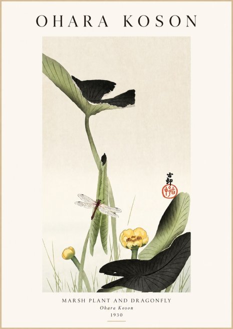 Ohara Koson Marsh Plant and Dragonfly No1 - Plakat