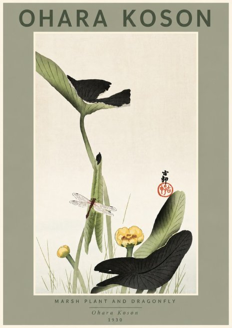 Ohara Koson Marsh Plant and Dragonfly No4 - Plakat
