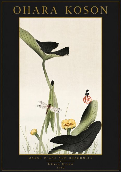 Ohara Koson Marsh Plant and Dragonfly No5 - Plakat