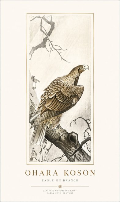 Ohara Koson Eagle on Branch No1 - Plakat