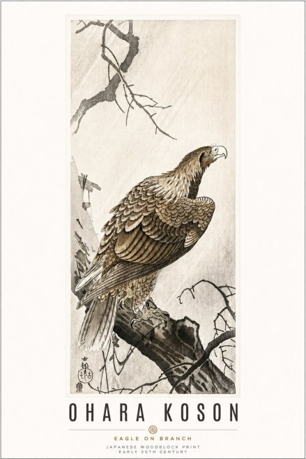 Ohara Koson Eagle on Branch No3 - Plakat