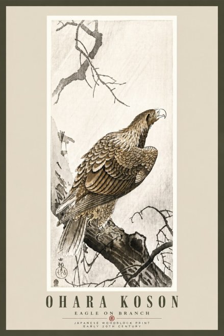 Ohara Koson Eagle on Branch No5 - Plakat