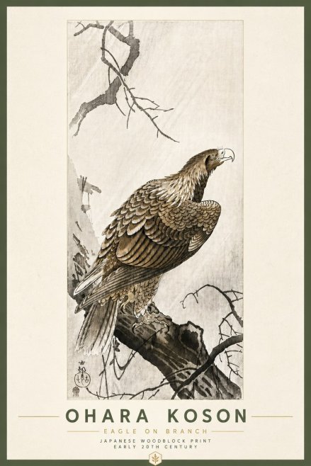 Ohara Koson Eagle on Branch No6 - Plakat