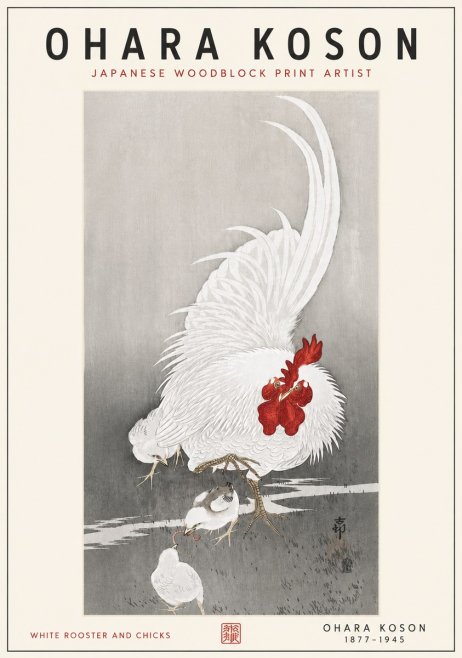 Ohara Koson White Rooster and Chicks No6 - Plakat