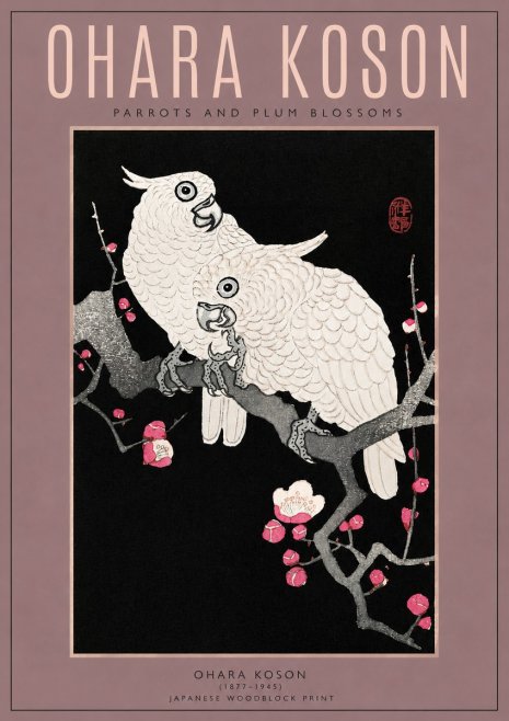 Ohara Koson Parrots and Plum Blossoms No3 - Plakat