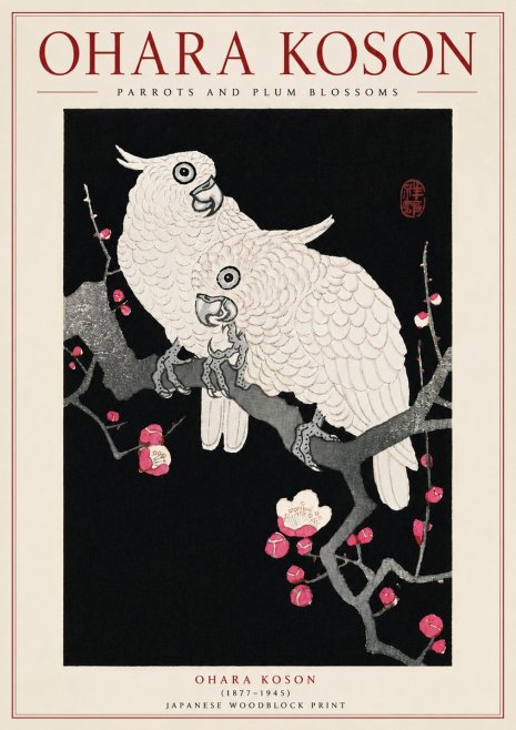 Ohara Koson Parrots and Plum Blossoms No5 - Plakat