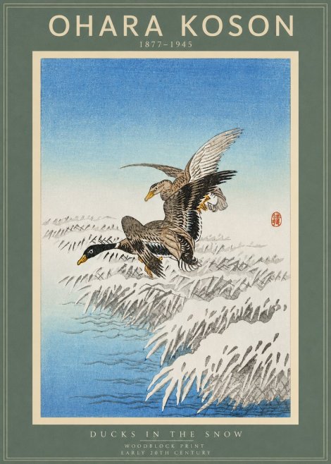 Ohara Koson Ducks in the Snow No2 - Plakat