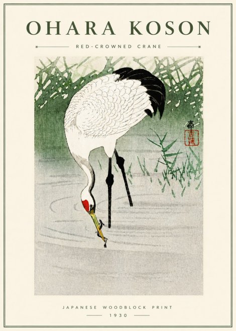 Ohara Koson Red-crowned Crane No5 - Plakat