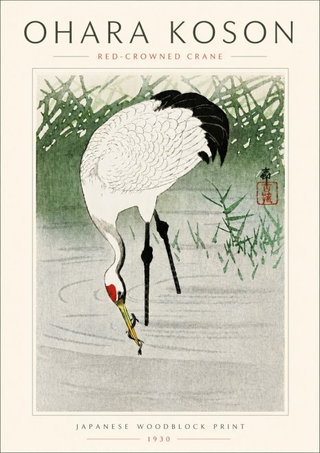 Ohara Koson Red-crowned Crane No6 - Plakat