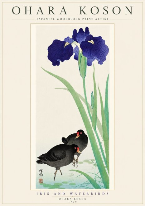 Ohara Koson Iris and Waterbirds No5 - Plakat