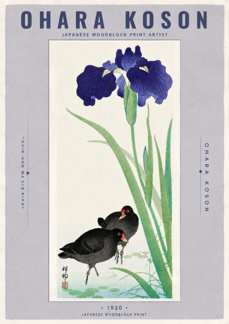 Ohara Koson Iris and Waterbirds No6 - Plakat