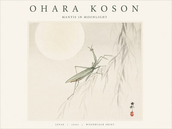 Ohara Koson Mantis in Moonlight No1 - Plakat