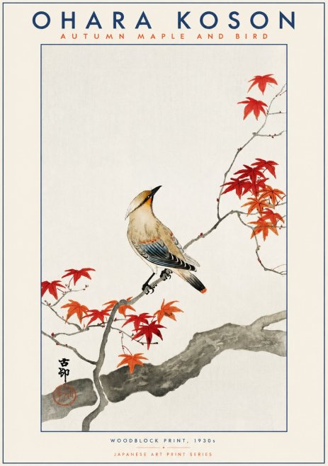 Ohara Koson Autumn Maple and Bird No2 - Plakat
