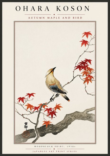 Ohara Koson Autumn Maple and Bird No6 - Plakat