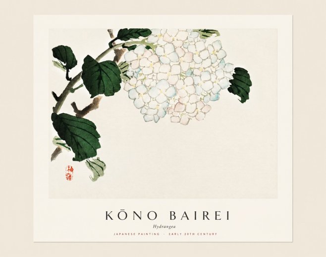 Kōno Bairei Hydrangea No1 - Plakat