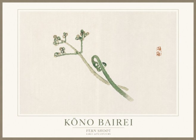 Kōno Bairei Fern Shoot No3 - Plakat