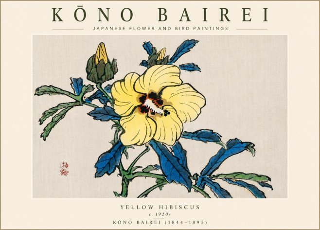 Kōno Bairei Yellow Hibiscus No4 - Plakat
