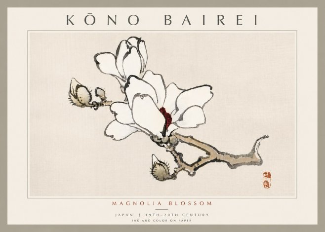 Kōno Bairei Magnolia Blossom No6 - Plakat