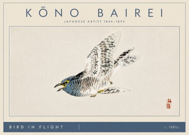 Kōno Bairei Bird in Flight No4 - Plakat