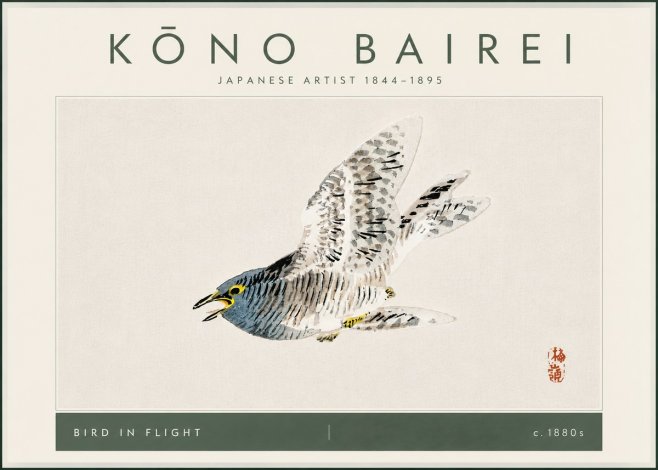 Kōno Bairei Bird in Flight No6 - Plakat