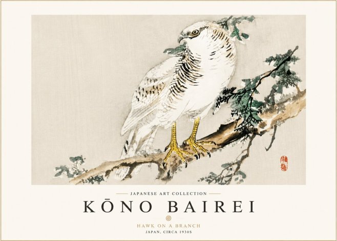 Kōno Bairei Hawk on a Branch No3 - Plakat