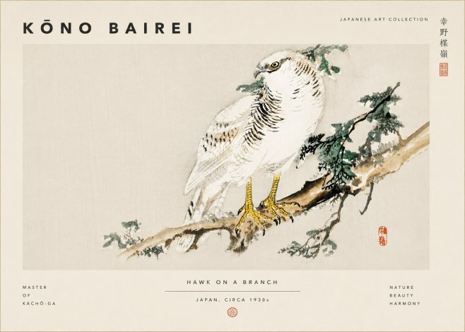Kōno Bairei Hawk on a Branch No6 - Plakat