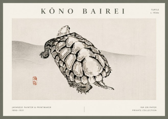Kōno Bairei Turtle No5 - Plakat