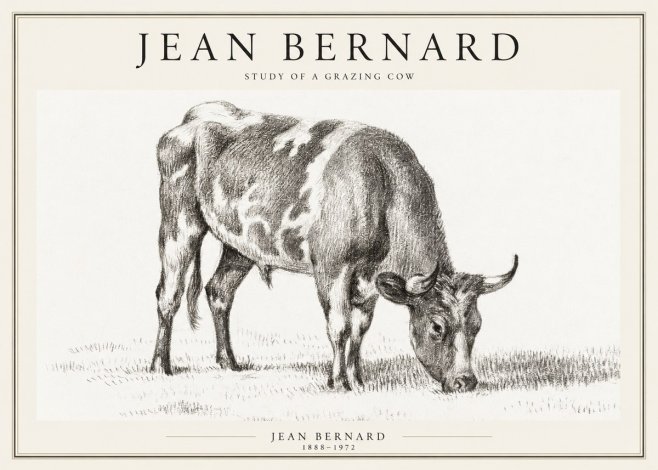 Jean Bernard Grazing Cow I No2 - Plakat