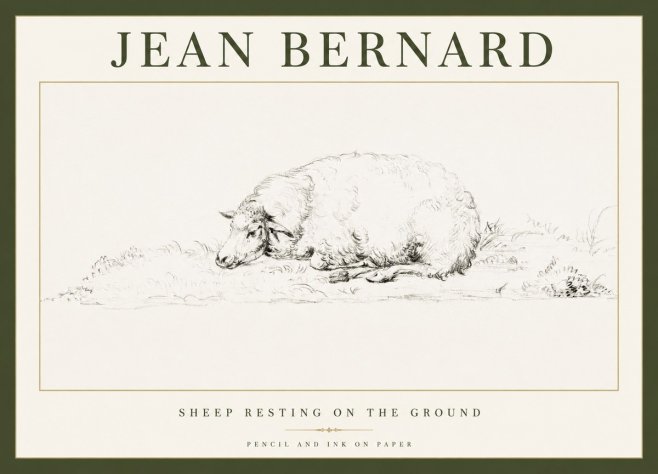 Jean Bernard Sheep Resting on the Ground No1 - Plakat