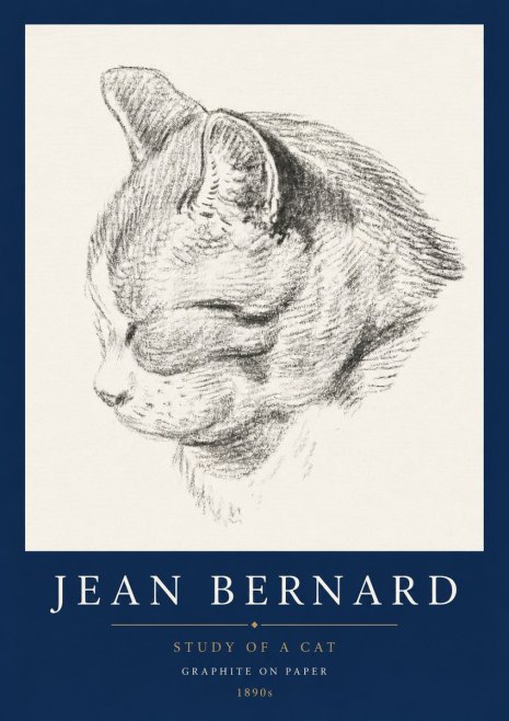 Jean Bernard Cat Study I No5 - Plakat