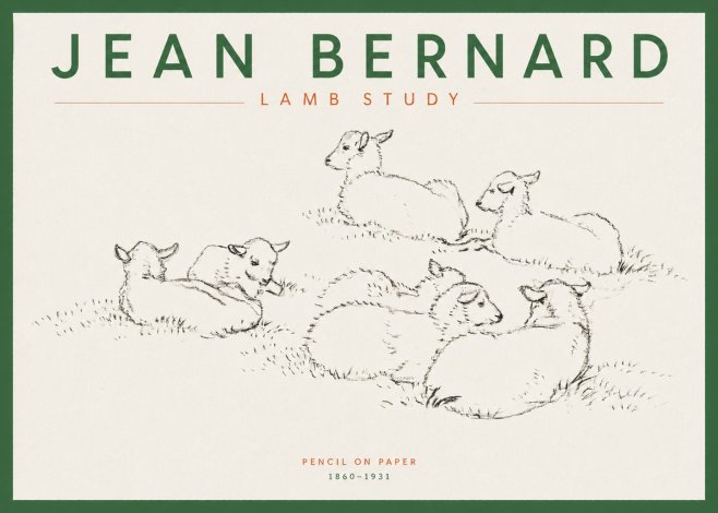 Jean Bernard Study of Lambs No5 - Plakat