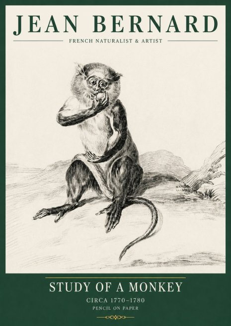 Jean Bernard Study of a Monkey No5 - Plakat