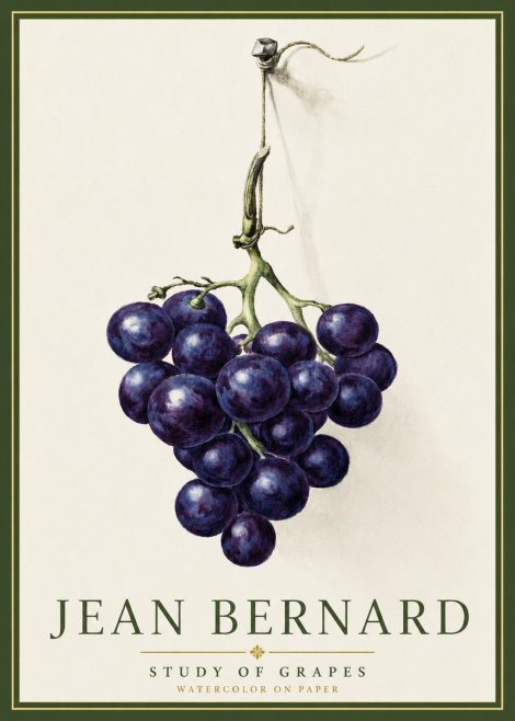 Jean Bernard Grapes No5 - Plakat