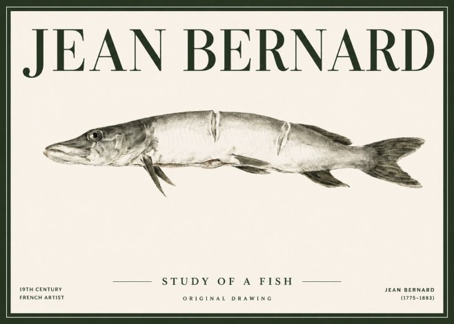 Jean Bernard Study of a Fish II No4 - Plakat