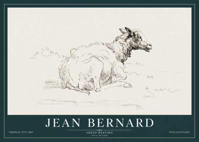 Jean Bernard Sheep Resting No3 - Plakat