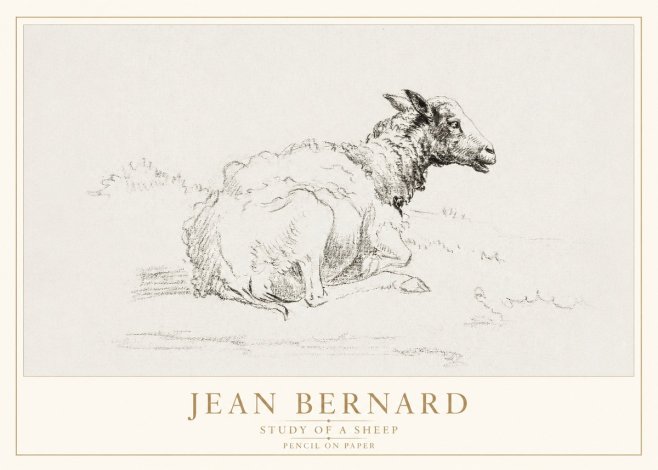 Jean Bernard Sheep Resting No4 - Plakat