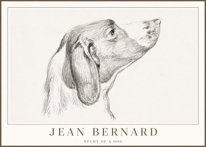 Jean Bernard Study of a Dog I No2 - Plakat