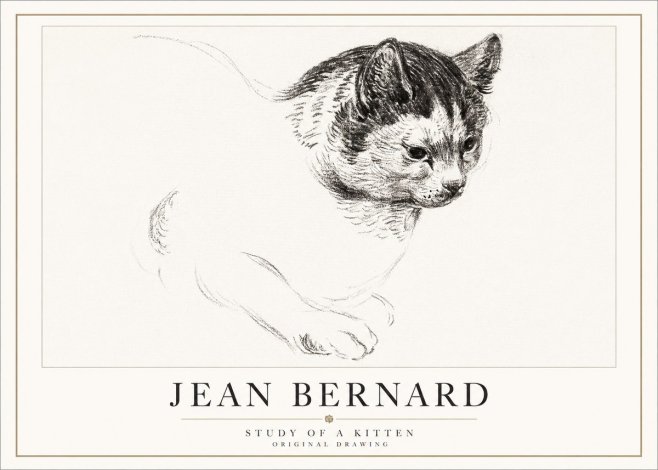 Jean Bernard Study of a Kitten I No5 - Plakat