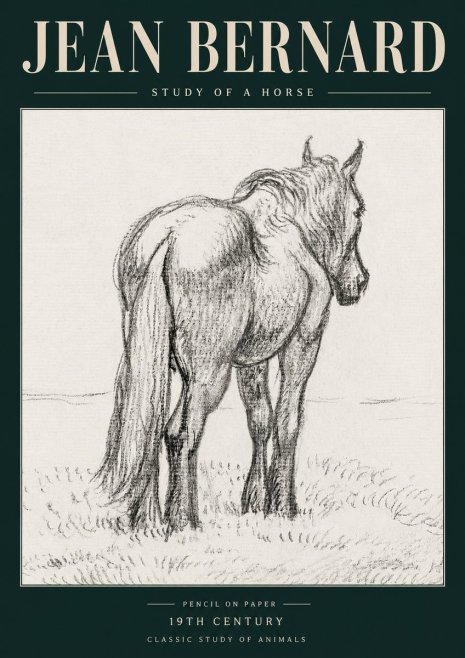Jean Bernard Study of a Horse II No5 - Plakat