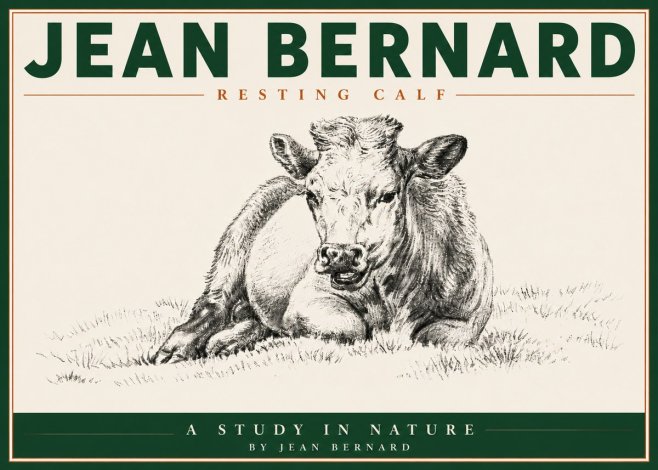 Jean Bernard Resting Calf I No5 - Plakat