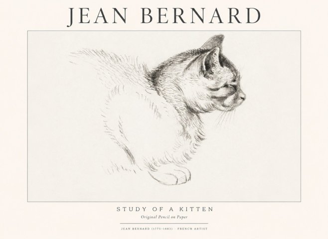 Jean Bernard Study of a Kitten II No1 - Plakat