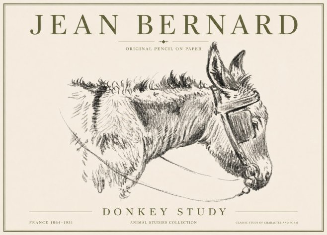 Jean Bernard Donkey Study II No6 - Plakat