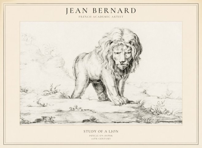 Jean Bernard Study of a Lion I No5 - Plakat