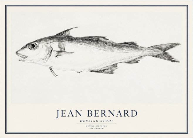 Jean Bernard Herring Study No1 - Plakat